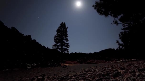 夜深人静 喀斯喀特山脉的拉森荒野 — 图库视频影像