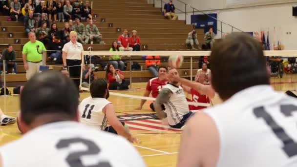美国海军陆战队员在一场坐着打排球的比赛中与美国海军比赛 — 图库视频影像