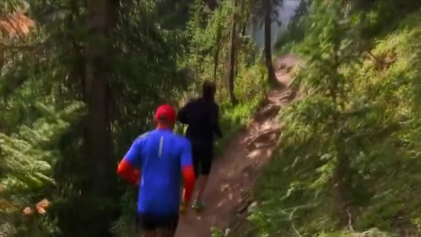 Corridori Che Fanno Jogging Una Zona Selvaggia Mattino Presto — Video Stock