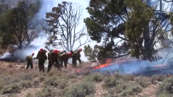 Tűzoltók Visszafelé Tüzelnek Erdőben — Stock videók