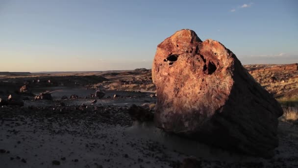 Arizona Daki Petrified Forest Ulusal Parkı Bakan Bir Defterde Dinozorlar — Stok video