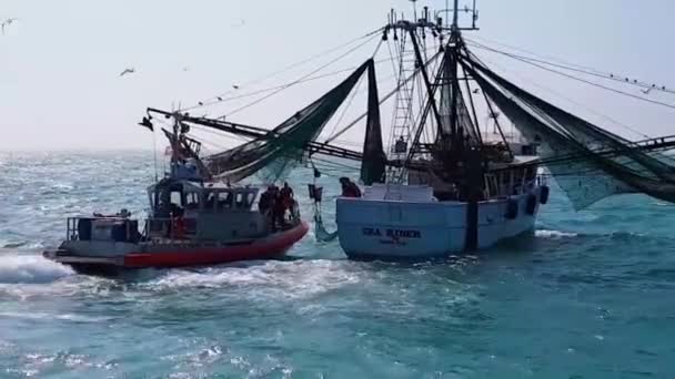 Kustbevakningsbåt Förtöjs Bredvid Räkbåt Öppet Hav — Stockvideo