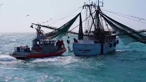 Barco Guardia Costera Amarres Lado Barco Camaronero Alta Mar — Vídeos de Stock