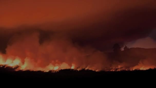 Yanan Bir Yangının Hızlandırılmış Görüntüsü — Stok video