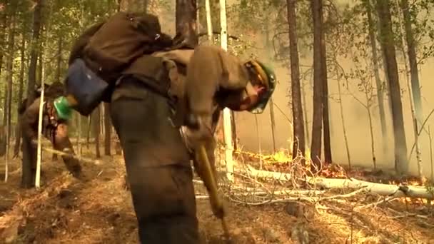 Bombeiros Combatem Incêndios Florestais — Vídeo de Stock