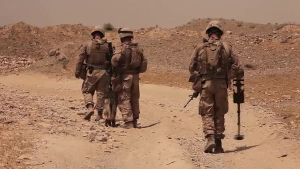 Marinsoldater Patrull Afghanistan Använder Bombsniffande Hundar För Att Upptäcka Ied — Stockvideo