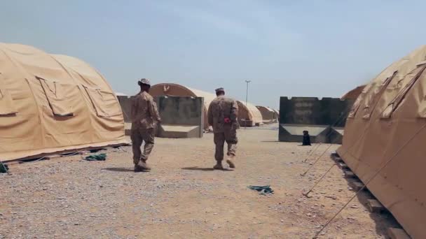 Fuzileiros Navais Patrulha Afeganistão Usam Cães Farejadores Bombas Para Detectar — Vídeo de Stock