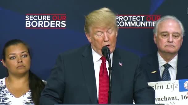 2018 Amerikaanse President Donald Trump Spreekt Zijn Immigratiebeleid Vangst Vrijlating — Stockvideo