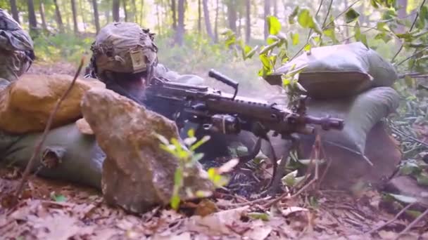 Marines Engage Jungle Warfare Training Forest Camouflage Rifles — Stock Video