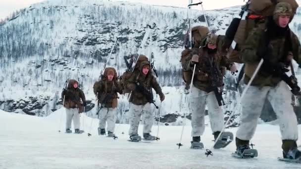 2018年 挪威陆军士兵使用滑雪鞋和雪鞋在冬季操练地面战术 — 图库视频影像