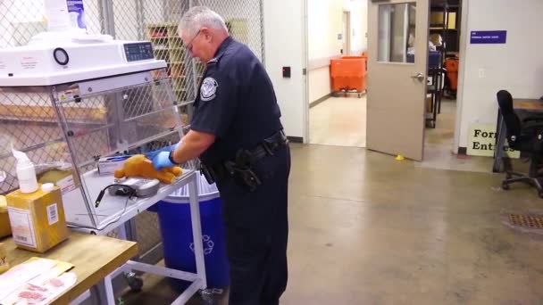 2018 Officer Från Customs Border Patrol Hittar Dolda Smugglade Droger — Stockvideo
