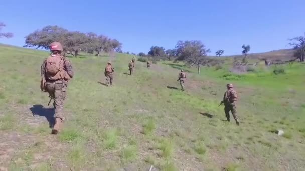 海兵隊は最終的な軍隊の歩兵演習の間にオープンフィールドを歩いて 基本的な訓練 — ストック動画