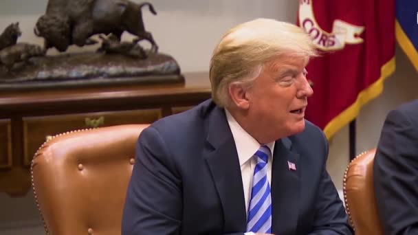 2018 Presidente Los Estados Unidos Donald Trump Reúne Con Liderazgo — Vídeos de Stock