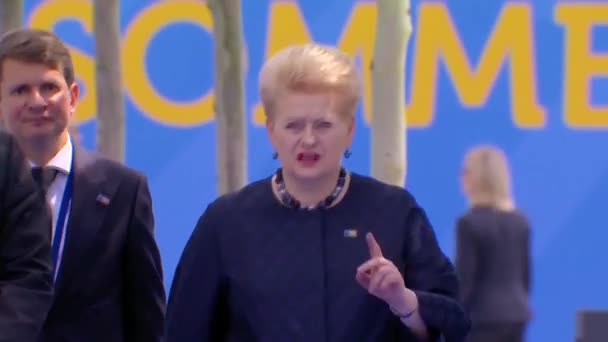 2018 리투아니아 대통령 Dalia Grybauskaite 벨기에 브뤼셀에서 Nato 회담에 도착하다 — 비디오