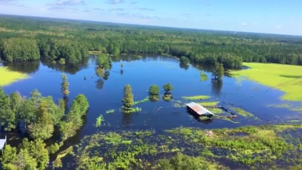 2018 Члени Пенсильванської Національної Гвардії Пенсильванського Вертольота Aquatic Rescue Team — стокове відео