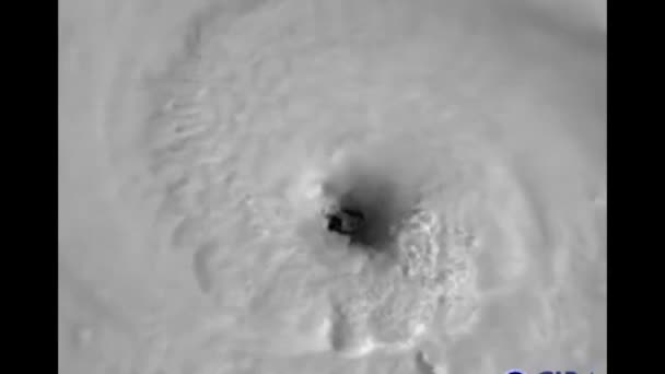 2018 Noaa Animovaný Satelitní Meteorologický Snímek Hurikánu Florencie Blížící Pobřeží — Stock video