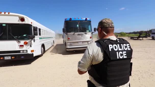 2018 Amerikai Bevándorlási Vámügyi Hivatal Különleges Ügynökei Ice Nemzetbiztonsági Nyomozások — Stock videók