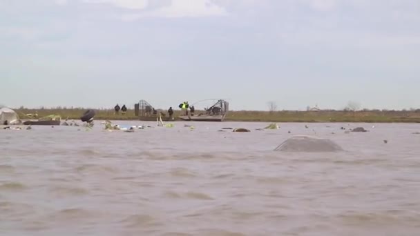 2019 Trümmer Und Trümmer Des Absturzes Eines Frachtflugzeugs Vom Typ — Stockvideo