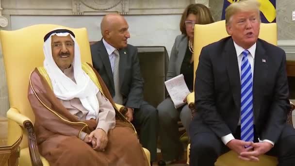 2018 Amerikaanse President Donald Trump Ontmoet Amir Van Staat Koeweit — Stockvideo