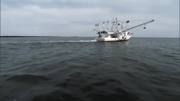 Circa 2010 メキシコ湾でボートに乗っている男性 2019 — ストック動画