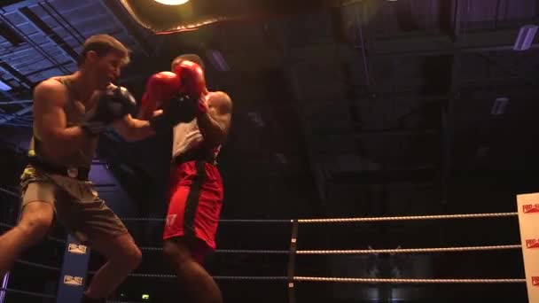 2018 Marine Faces British Royal Marine Boxing Match Commando Training — 비디오