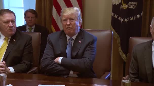 2018 Président Américain Donald Trump Prend Parole Devant Cabinet Insurge — Video