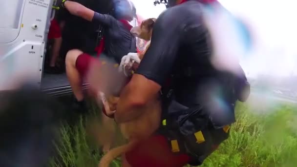 2018 Agentes Guarda Costeira Resgatam Evacuam Pessoas Encalhadas Cães Estimação — Vídeo de Stock