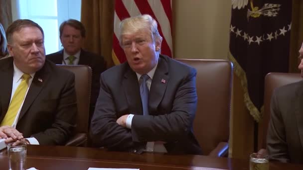 2018 Usa President Donald Trump Talar Inför Ett Regeringsmöte Demokraterna — Stockvideo