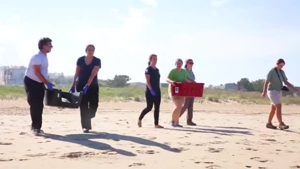 2018 Zeeschildpadden Worden Vrijgelaten Oceaan — Stockvideo