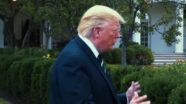 President Trump Säger Demokrater Säger Att Amerika Skräp 2019 — Stockvideo