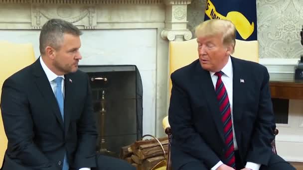 Trump Elnök Arról Beszél Hogy Szlovák Köztársaság Fizeti Nato Költségeit — Stock videók