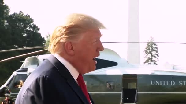 President Trump Säger Att Det Finns Politisk Aptit För Att — Stockvideo