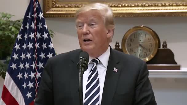President Trump Says Limit How Many Immigrants Can Absorb 2019 — Stock Video