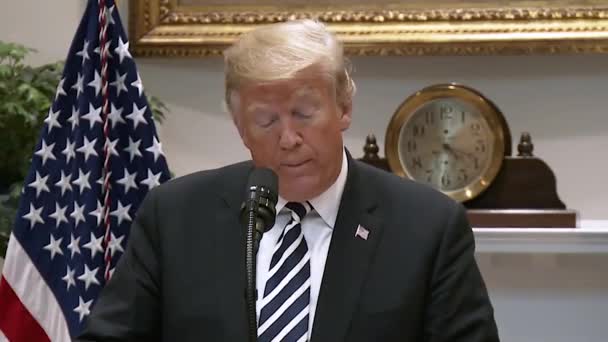 President Trump Makes Statement Illegal Immigration Crisis 2019 — Stock Video
