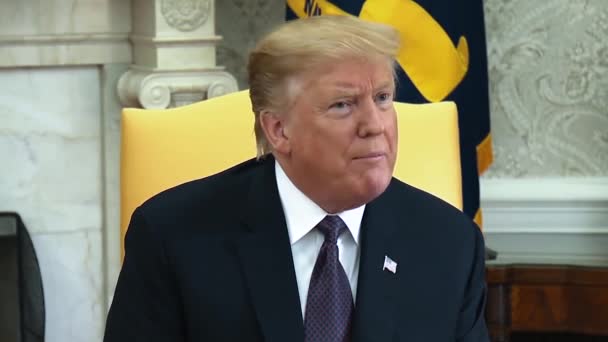 Presidente Trump Dice Che Senso Andare Accordo Con Russia 2019 — Video Stock