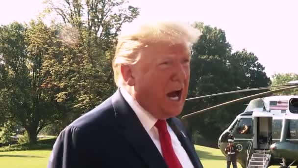 Presidente Trump Diz Que Joe Biden Incompetente 2019 — Vídeo de Stock