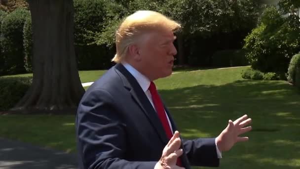 President Trump Säger Att Demokraterna Måste Ändra Lagarna Gränsen 2019 — Stockvideo