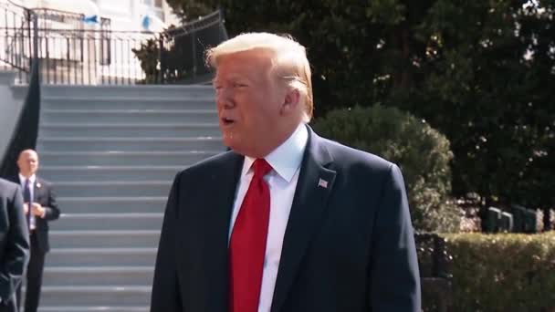 Başkan Trump Amerika Nın Karşılıklı Bir Ulus Olduğunu 2019 Amerika — Stok video