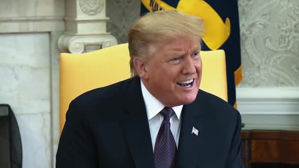 President Trump Says Biggest Supplier Energy World 2019 — Stock Video