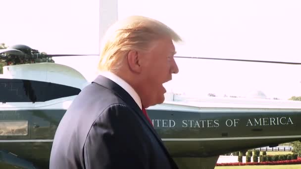Presidente Trump Dice Non Biasimare Democratici Sparatorie Massa Ohio 2019 — Video Stock