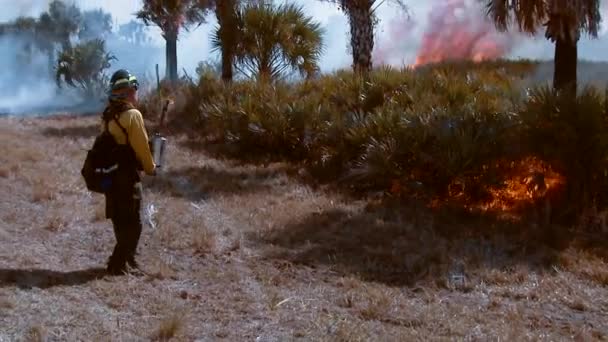 Bomberos Realizando Una Quemadura Prescrita Reserva Nacional Vida Silvestre Merritt — Vídeos de Stock