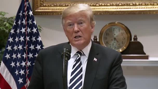 Prezydent Trump Mówi Tych Którzy Nadużywają Systemu Azylowego 2019 — Wideo stockowe