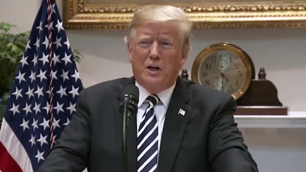 President Trump Zegt Dat Sprake Van Professionaliteit Illegale Immigrantencaravans 2019 — Stockvideo