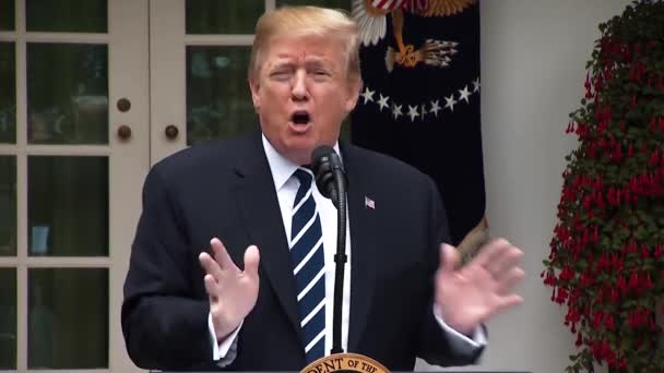 President Trump Gör Kommentarer Rysk Samverkan Och Kongress 2019 — Stockvideo