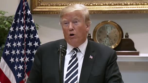 President Trump Says Nearly 100 Heroin Comes Southern Border 2019 — Stock Video