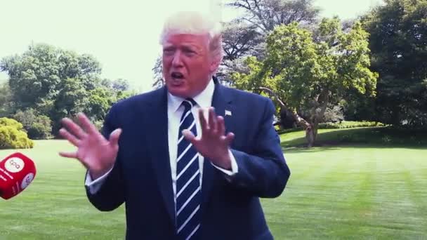 Presiden Trump Mengatakan Ibu Negara Tidak Senang Dengan Komentar Yang — Stok Video