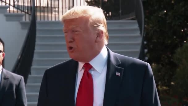 President Trump Says Doesn Feel Differently Gun Control 2019 — Stock Video