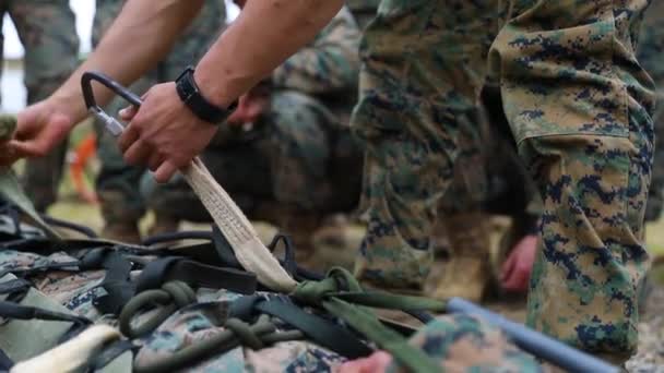 2019 Marines Navy Sailors 3Rd Marine Logistics Group Participate Jungle — Stock Video