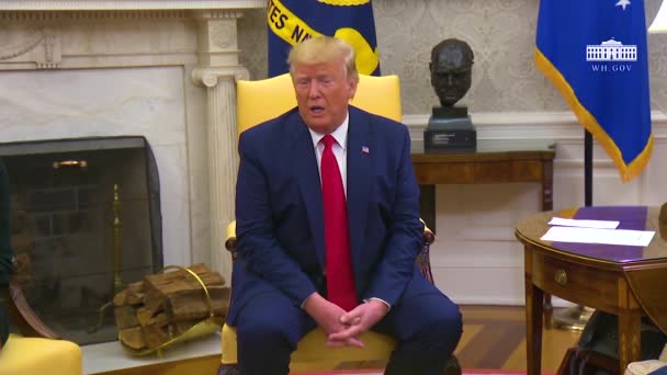 2019 Presiden Amerika Serikat Donald Trump Berbicara Kepada Wartawan Korps — Stok Video