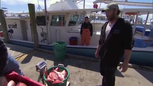 2019 Рибалки Витягують Рибальський Човен Зловлену Півночі Червону Змію — стокове відео